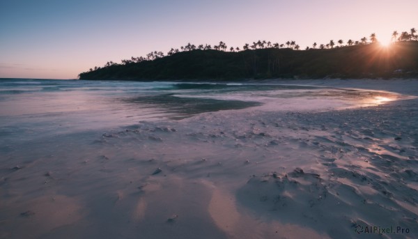 outdoors,sky,water,tree,no humans,ocean,beach,sunlight,scenery,sunset,sand,sun,horizon,waves,shore,cloud,shadow,nature,lens flare,forest,silhouette,landscape,footprints