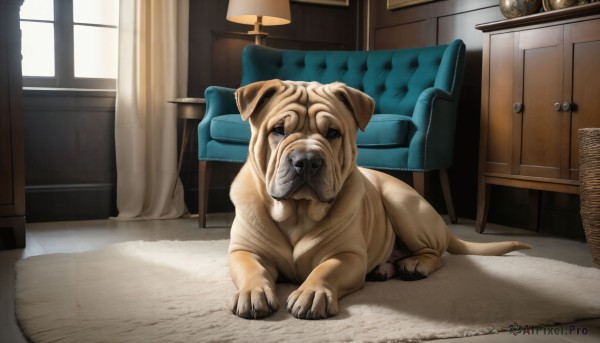 HQ,solo,sitting,indoors,no humans,window,animal,chair,table,curtains,realistic,lamp,animal focus,armchair,day,sunlight,couch,dog,basket,light,statue,carpet,rug,cabinet