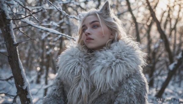 1girl, solo, long hair, blue eyes, animal ears, upper body, white hair, outdoors, parted lips, blurry, tree, lips, fur trim, blurry background, looking up, snow, realistic, nose, branch, winter clothes, winter, bare tree