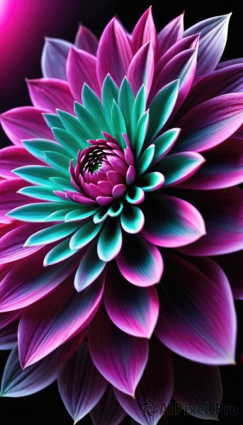 Image of a abstract in a peaceful background