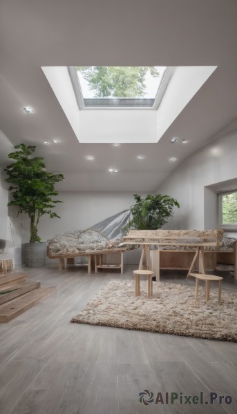 day,indoors,tree,no humans,window,chair,table,sunlight,plant,scenery,wooden floor,potted plant,lamp,stool,ceiling,carpet,ceiling light,rug,reflective floor,wooden chair,light