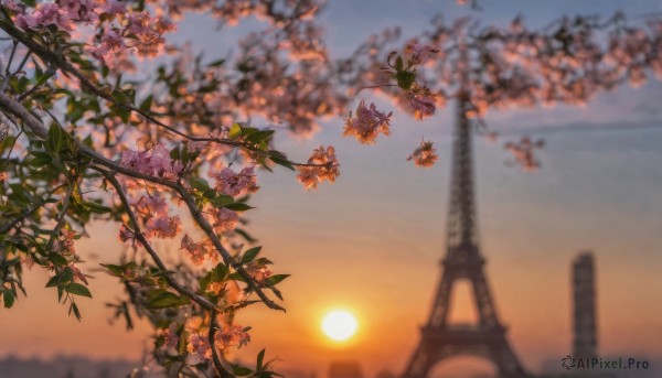 A striking sunset outdoors featuring the elegance of a unique subject