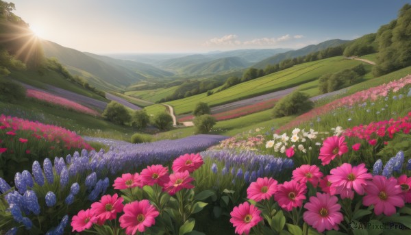 A landscape in the heart of a peaceful sunset day