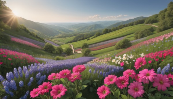 flower,outdoors,lying,sky,day,cloud,tree,blue sky,no humans,sunlight,grass,nature,scenery,pink flower,forest,blue flower,mountain,purple flower,sun,field,flower field,hydrangea,landscape,mountainous horizon,hill,dutch angle,plant,red flower,sunset,road,bush,sunrise