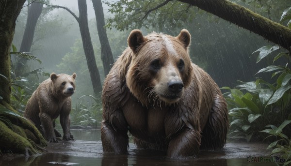 A unique subject surrounded by a lush rainy outdoors
