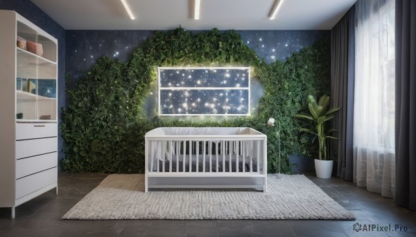 outdoors,sky,indoors,tree,no humans,window,night,plant,curtains,star (sky),night sky,scenery,starry sky,door,potted plant,bush,flower pot,wooden floor