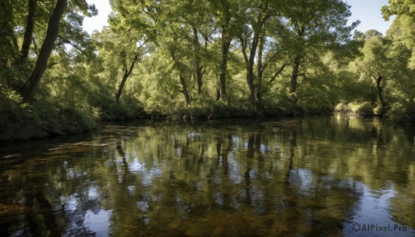 outdoors,sky,day,water,tree,no humans,sunlight,nature,scenery,forest,reflection,river,lake,reflective water,cloud,blue sky,landscape