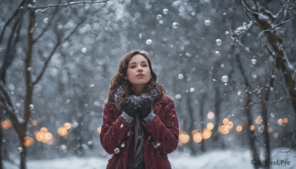 1girl, solo, long hair, brown hair, gloves, brown eyes, outdoors, parted lips, scarf, blurry, tree, lips, coat, own hands together, looking up, snow, snowing, realistic, winter clothes, winter, bare tree