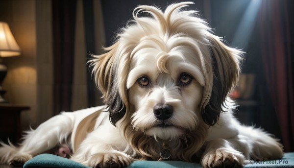 A glimpse of a dog in a lush dynamic scene