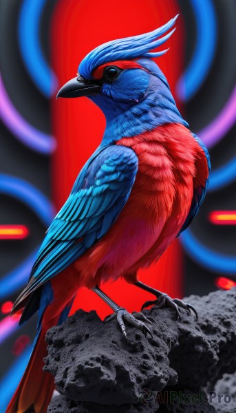 solo,closed mouth,standing,full body,wings,blurry,black eyes,from side,pokemon (creature),no humans,blurry background,bird,animal,feathers,rock,realistic,animal focus,talons,beak