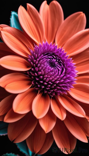 simple background,flower,no humans,leaf,black background,red flower,pink flower,purple flower,orange flower,still life,blurry,depth of field,plant,scenery,crystal,bouquet,hydrangea,wisteria