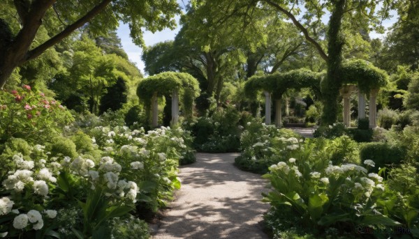 A garden set against the backdrop of a captivating day