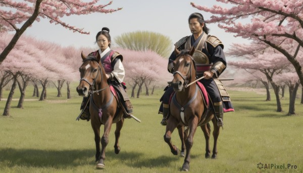 1girl,black hair,gloves,long sleeves,1boy,holding,weapon,outdoors,japanese clothes,multiple boys,day,sword,hair bun,holding weapon,armor,tree,facial hair,animal,holding sword,single hair bun,katana,grass,cherry blossoms,sheath,headwear removed,riding,japanese armor,horse,topknot,kote,samurai,horseback riding,saddle,hair ornament,closed mouth,standing,looking at another,chinese clothes,beard,walking,sheathed,field,hanfu