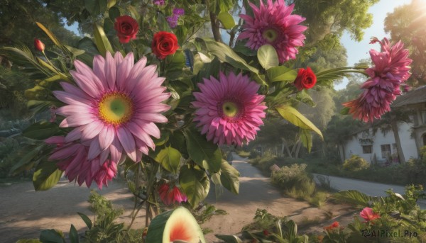 Day brought to life with a captivating garden