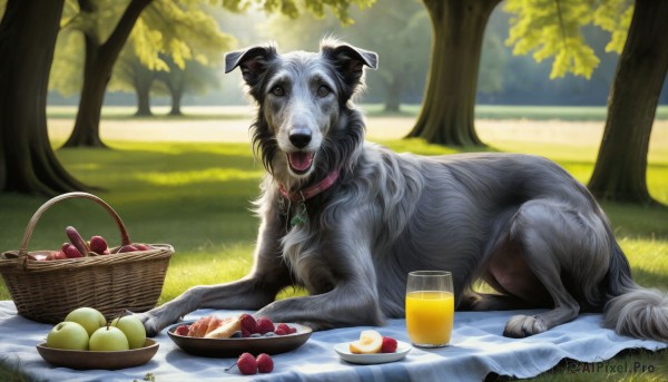 HQ,open mouth,outdoors,food,day,tongue,tongue out,collar,tree,cup,no humans,fruit,animal,grass,nature,plate,bowl,dog,realistic,apple,blanket,basket,animal focus,bread,grapes,picnic basket,picnic,looking at viewer,brown eyes,heart,lying,blurry,blurry background,leaf,table,on stomach,drinking glass,animal collar