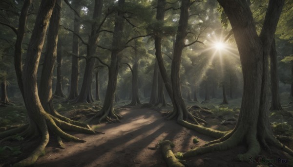 A landscape set against the backdrop of a captivating day