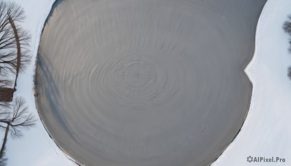 A stunning unique subject within a beautiful snowy outdoors