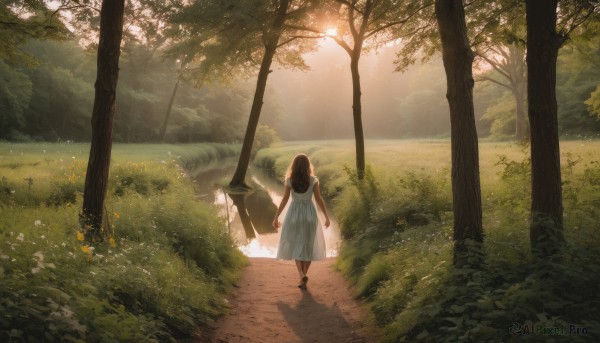 1girl, solo, long hair, brown hair, dress, outdoors, from behind, white dress, tree, dutch angle, sunlight, grass, nature, scenery, walking, road, path