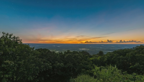 outdoors,sky,cloud,water,tree,no humans,night,ocean,grass,star (sky),nature,night sky,scenery,forest,starry sky,sunset,horizon,river,evening,landscape,gradient sky