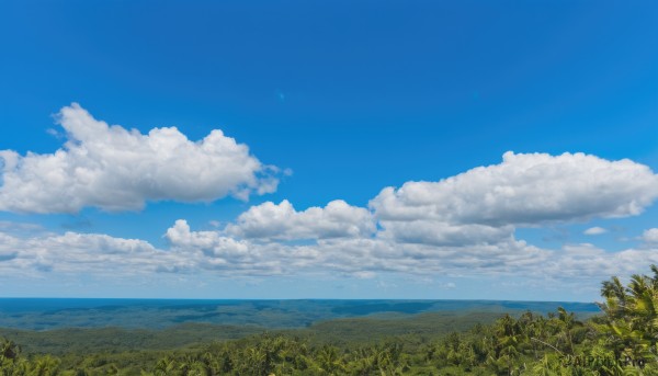 outdoors,sky,day,cloud,water,tree,blue sky,no humans,ocean,cloudy sky,grass,plant,nature,scenery,horizon,field,summer,landscape,hill