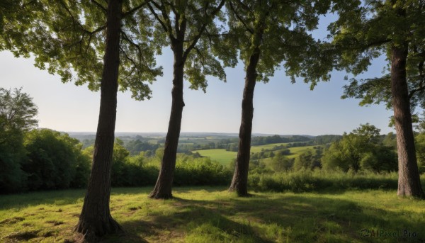 The serene presence of a landscape in a breathtaking day