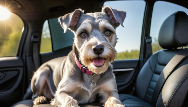 HQ,looking at viewer,open mouth,blue eyes,outdoors,day,tongue,tongue out,blurry,collar,no humans,blurry background,animal,ground vehicle,motor vehicle,dog,realistic,car,animal focus,driving,car interior,shiba inu,steering wheel,solo,sky,reflection,animal collar