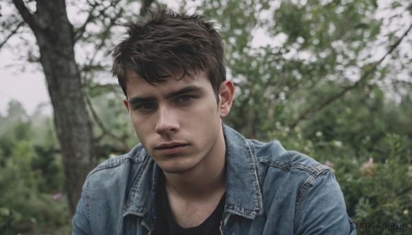 A stunning portrayal of a male in a calm day