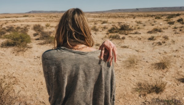 1girl,solo,long hair,brown hair,shirt,black hair,long sleeves,jacket,upper body,outdoors,sky,day,hand up,medium hair,from behind,blue sky,blood,back,facing away,field,blood on hands,desert,grey shirt,sand,horizon,dirty,photo background