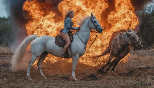 A vibrant male captured in fiery outdoors