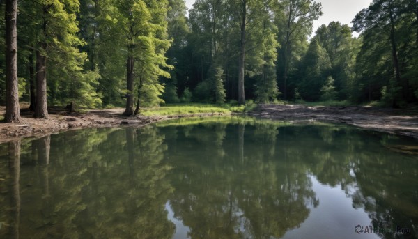 outdoors,sky,day,water,tree,no humans,sunlight,grass,nature,scenery,forest,reflection,river,landscape,lake,reflective water,cloud,plant