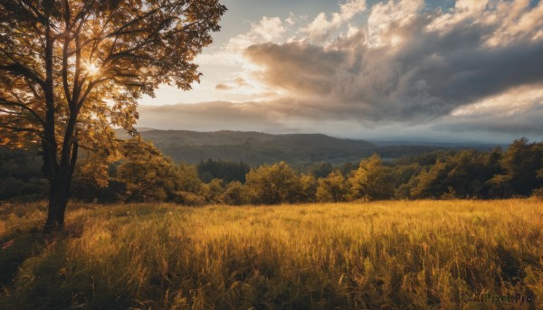 A landscape captured in a dynamic sunset day