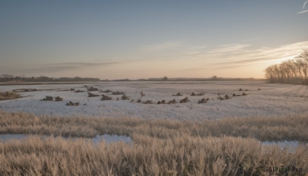 A landscape framed by the beauty of a majestic snowy day