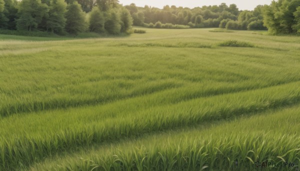 A striking day featuring the elegance of a landscape