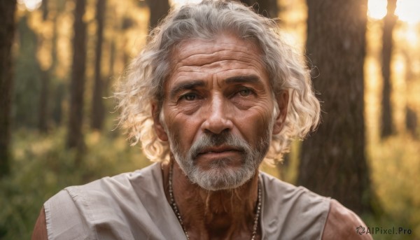 solo,looking at viewer,shirt,1boy,brown eyes,jewelry,closed mouth,white shirt,upper body,white hair,grey hair,male focus,outdoors,sleeveless,necklace,blurry,tree,blurry background,facial hair,scar,portrait,nature,beard,forest,curly hair,realistic,mustache,manly,old,old man,wrinkled skin,short hair,lips,depth of field,scar on face,scar across eye