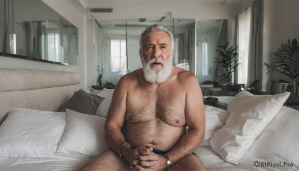 solo,looking at viewer,short hair,1boy,navel,sitting,closed mouth,nipples,white hair,grey hair,male focus,thighs,nude,penis,indoors,pillow,pubic hair,completely nude,window,bed,facial hair,on bed,own hands together,pectorals,plant,muscular male,male pubic hair,bara,beard,masturbation,watch,plump,mature male,realistic,mustache,wristwatch,old,fat,chest hair,old man,fat man,male masturbation,leg hair,arm hair,hairy,wrinkled skin,open mouth,jewelry,bracelet,scar,parody,interlocked fingers