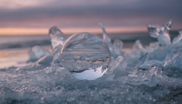 solo,closed eyes,outdoors,sky,blurry,no humans,depth of field,blurry background,scenery,reflection,cloud,water,ocean,animal,beach,sunset,realistic,sand,horizon