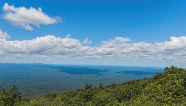 outdoors,sky,day,cloud,signature,water,tree,blue sky,no humans,ocean,cloudy sky,grass,plant,nature,scenery,forest,mountain,horizon,field,landscape,mountainous horizon,hill