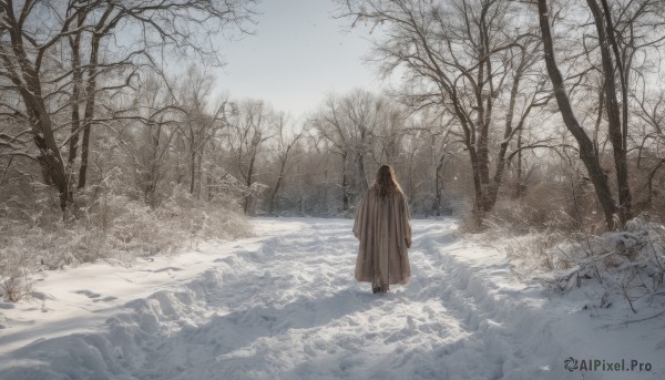 1girl,solo,long hair,brown hair,1boy,standing,male focus,outdoors,day,hood,water,from behind,tree,nature,scenery,cloak,snow,forest,walking,snowing,facing away,winter,hooded cloak,bare tree,footprints,sky,ocean,sand