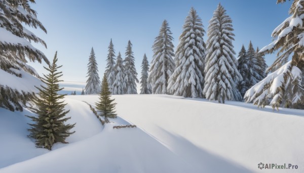 outdoors,sky,day,tree,blue sky,nature,scenery,snow,forest,mountain,winter clothes,winter,bare tree,landscape,footprints,pine tree,cloud,no humans,road,lake