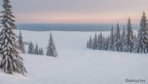 A dynamic view of a landscape in snowy day