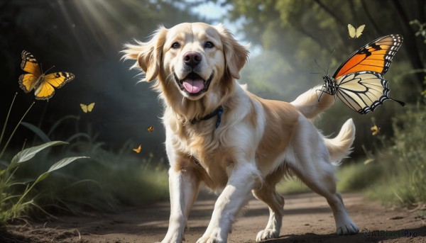 HQ,open mouth,full body,outdoors,day,tongue,signature,tongue out,blurry,black eyes,collar,tree,no humans,animal,sunlight,grass,bug,butterfly,nature,forest,dog,light rays,realistic,animal focus,solo,looking at viewer,standing,blurry background,fangs,plant,walking,sunbeam,animal collar