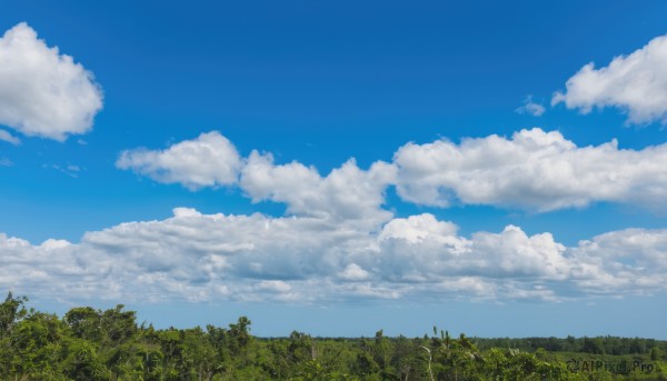 outdoors,sky,day,cloud,tree,blue sky,no humans,cloudy sky,grass,nature,scenery,forest,field,landscape