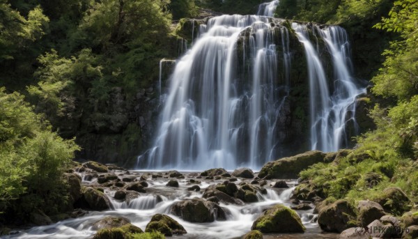 outdoors,day,water,tree,no humans,nature,scenery,forest,rock,river,waterfall,moss,leaf,sunlight,bush,landscape,stream