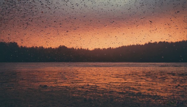 outdoors,sky,cloud,water,tree,no humans,bird,ocean,star (sky),nature,scenery,forest,starry sky,sunset,horizon,gradient sky,orange sky,animal,cloudy sky,flock