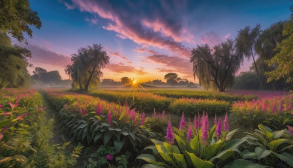 A landscape captured in a enchanting sunset outdoors