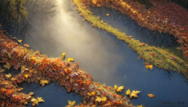 A unique subject set against the backdrop of a serene day