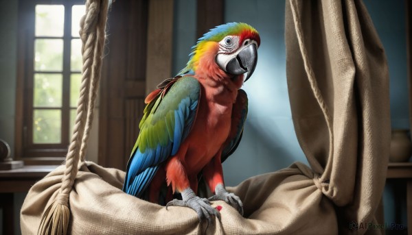 HQ,solo,looking at viewer,wings,day,indoors,blurry,black eyes,no humans,window,bed,bird,animal,bandages,feathers,curtains,feathered wings,furry,realistic,blanket,animal focus,talons,beak,open mouth,sitting,pillow,table,sunlight,rope,parrot