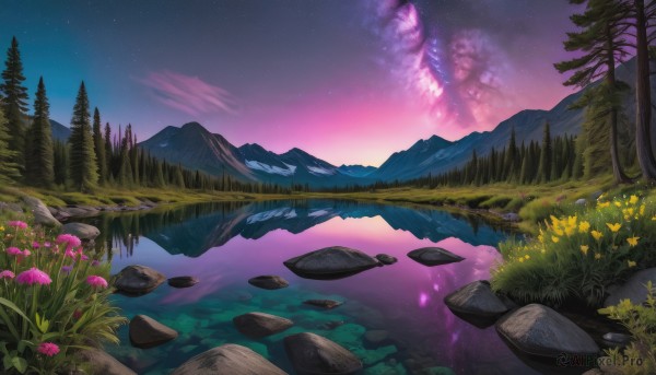 flower, outdoors, sky, cloud, water, tree, no humans, night, grass, star (sky), nature, night sky, scenery, forest, starry sky, reflection, rock, mountain, river, landscape, lake, purple sky