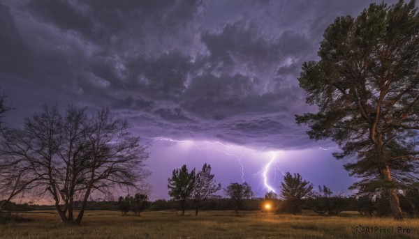 The timeless beauty of a lightning in a picturesque outdoors