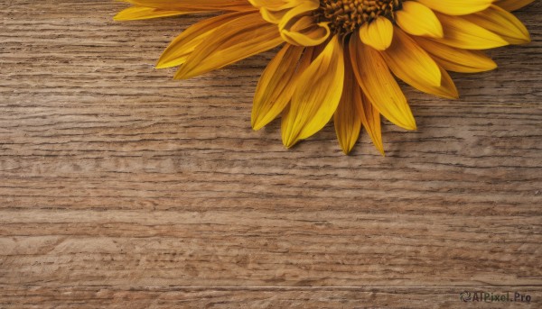 flower,outdoors,no humans,leaf,scenery,wooden floor,yellow flower,sunflower,still life,wooden table,wood,realistic